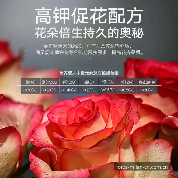 米兰官网中国首页使用指南 揭秘米兰官网中国首页使用指南:那些你不知道的登录与闪退真相
